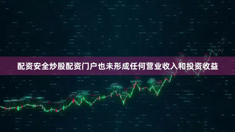 配资安全炒股配资门户也未形成任何营业收入和投资收益