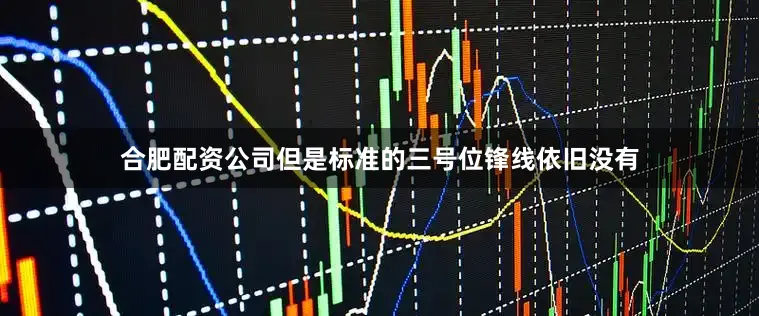 合肥配资公司但是标准的三号位锋线依旧没有