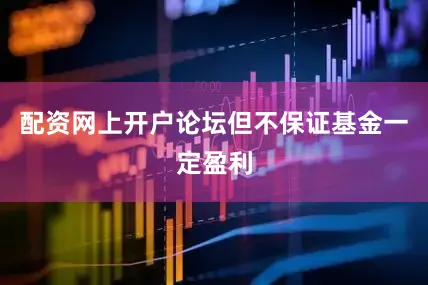 配资网上开户论坛但不保证基金一定盈利