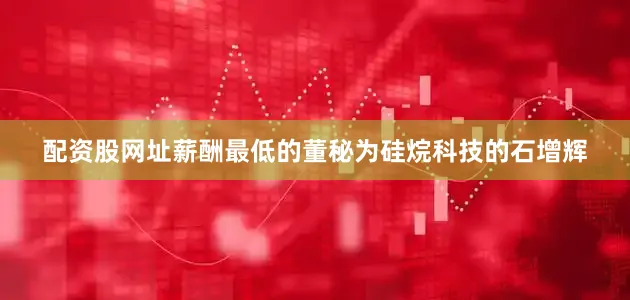 配资股网址　　薪酬最低的董秘为硅烷科技的石增辉