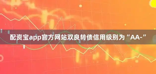 配资宝app官方网站双良转债信用级别为“AA-”
