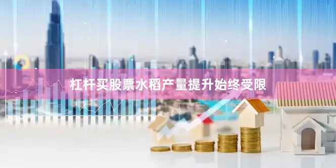 杠杆买股票水稻产量提升始终受限