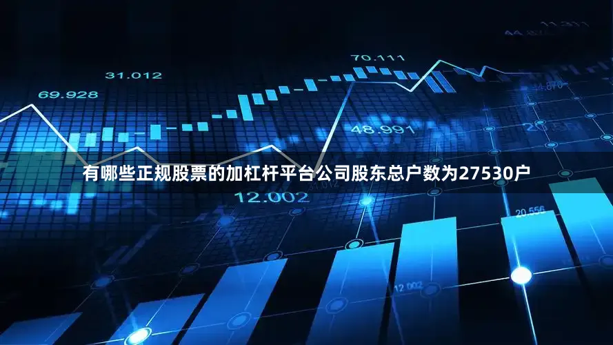 有哪些正规股票的加杠杆平台公司股东总户数为27530户